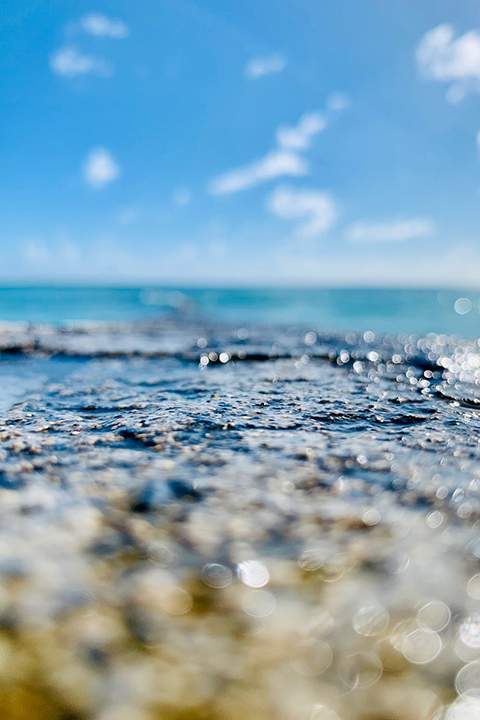 pexels-photo-1684991